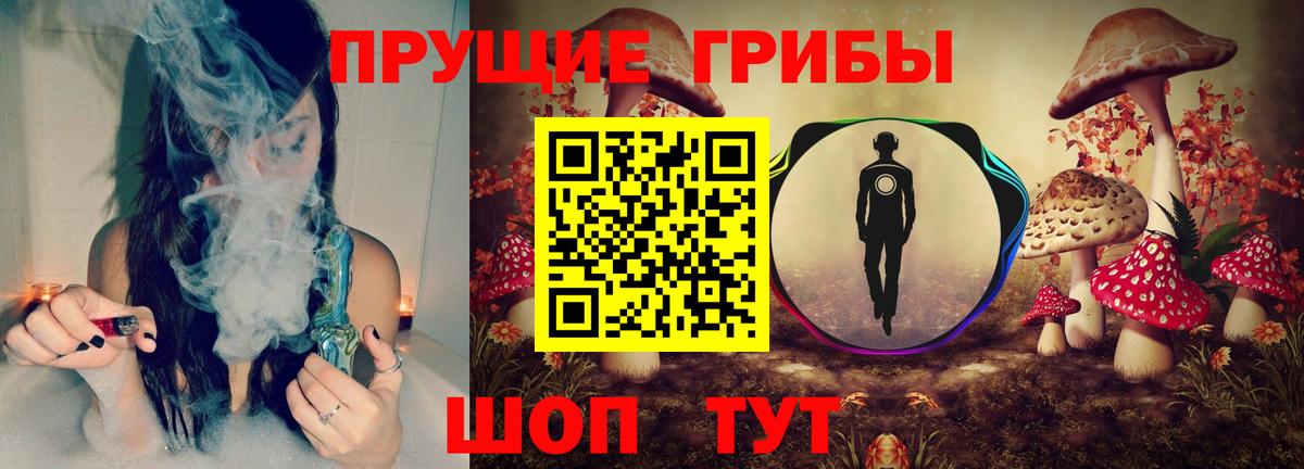 Галлюциногенные грибы GOLDEN TEACHER Магадан
